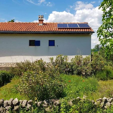 Villa Ecohouse Oliveglia Šilo Esterno foto