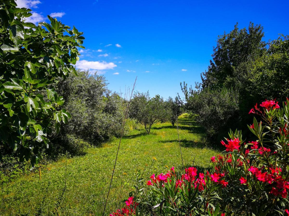 Villa Ecohouse Oliveglia Šilo Esterno foto