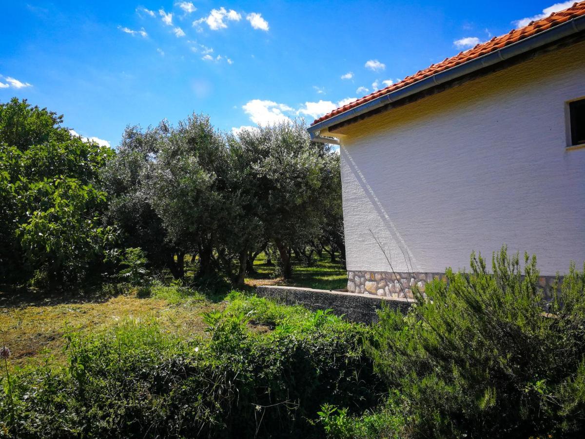 Villa Ecohouse Oliveglia Šilo Esterno foto